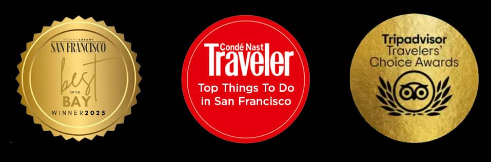 Best Show in San Francisco